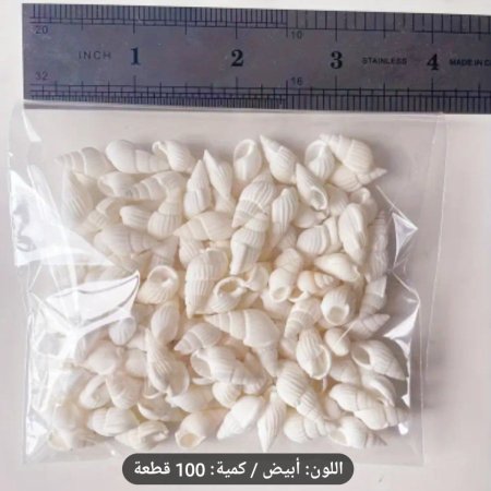 حلزون ١٠٠  قطعه