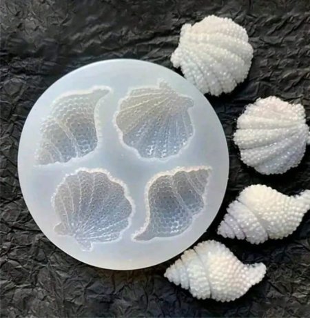 C19 صدف البحر