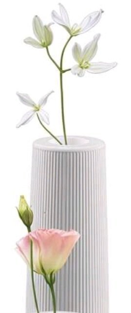 C26 فازه صغيره 10سم *4